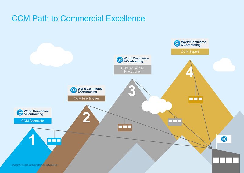 Commercial & Contract Management Path to Commercial Excellence